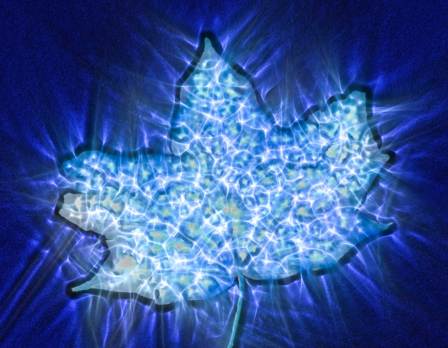 Kirlian leuchtende Fotografie wunderschöner Herbstblätter, die viel Energie zeigen