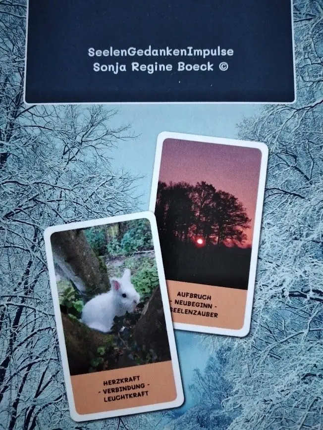 Kartendeck von Sonja Regine Boeck